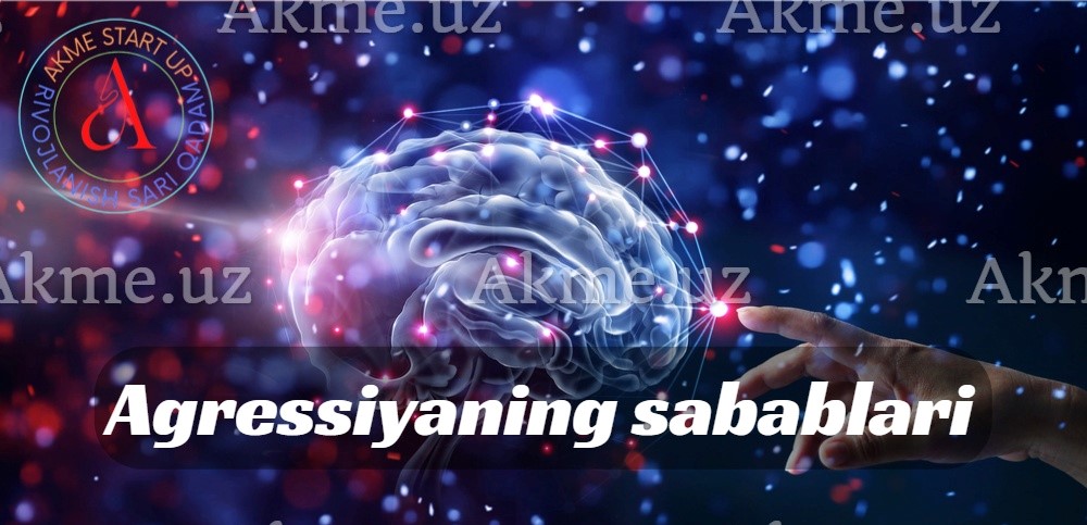 Agressiyaning sabablari