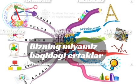 Bizning miyamiz haqidagi ertaklar