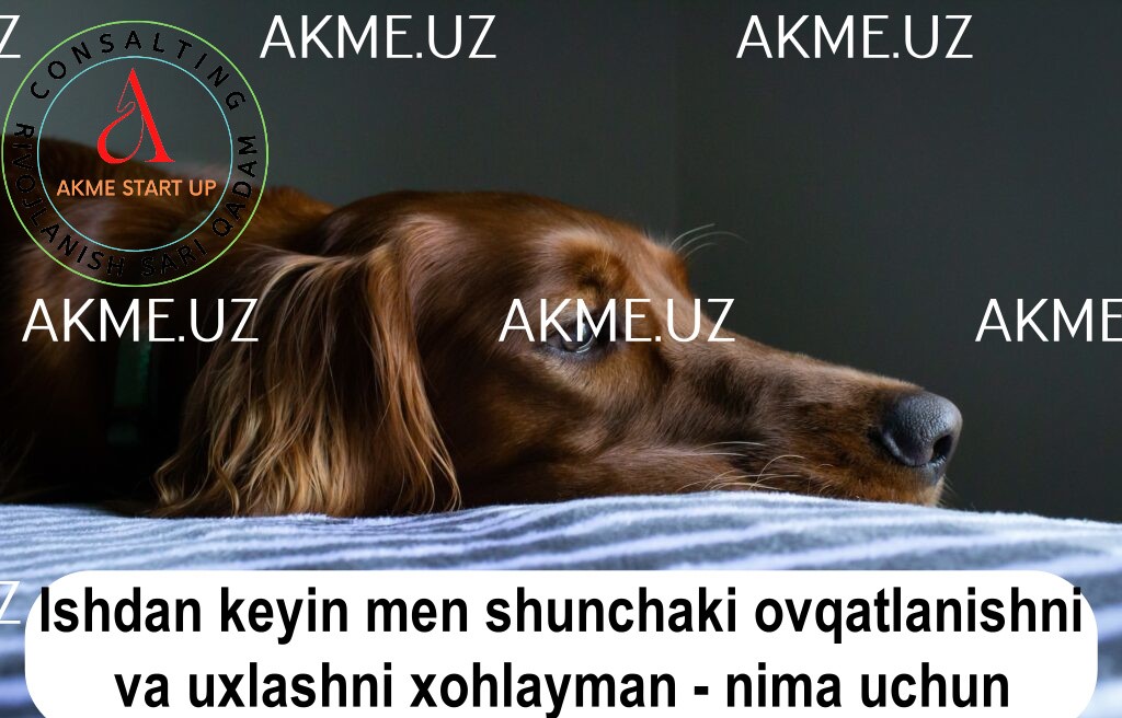 Ishdan keyin men shunchaki ovqatlanishni va uxlashni xohlayman – nima uchun?