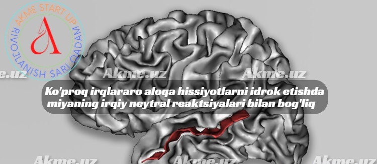 Ko’proq irqlararo aloqa hissiyotlarni idrok etishda miyaning irqiy neytral reaktsiyalari bilan bog’liq