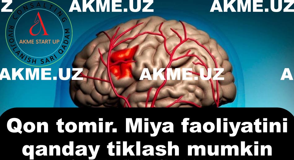 Qon tomir. Miya faoliyatini qanday tiklash mumkin