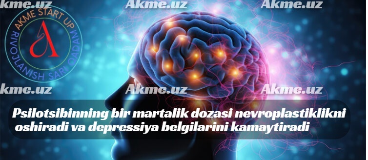 Psilotsibinning bir martalik dozasi nevroplastiklikni oshiradi va depressiya belgilarini kamaytiradi