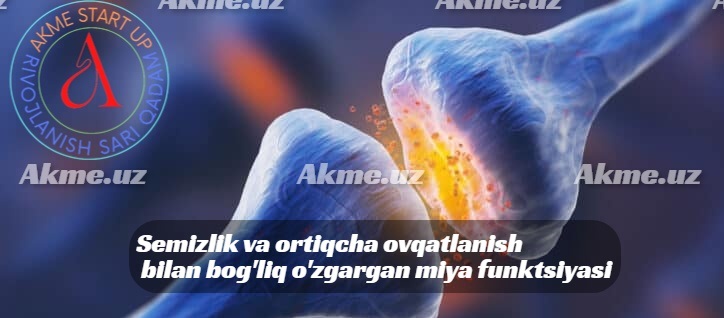 Semizlik va ortiqcha ovqatlanish bilan bog’liq o’zgargan miya funktsiyasi