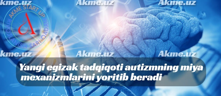 Yangi egizak tadqiqoti autizmning miya mexanizmlarini yoritib beradi