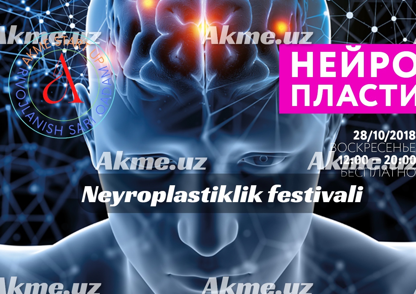 Neyroplastiklik festivali