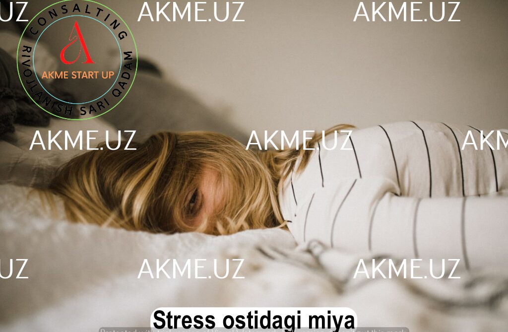 Stress ostidagi miya: nimani bilishingiz kerak va o’zingizga qanday yordam berishingiz kerak?