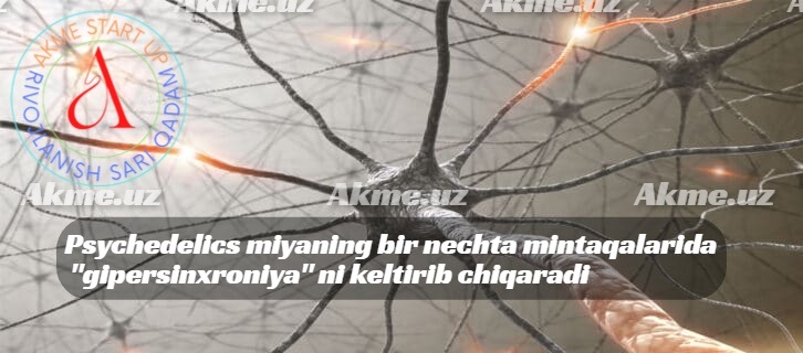 Psychedelics miyaning bir nechta mintaqalarida “gipersinxroniya” ni keltirib chiqaradi