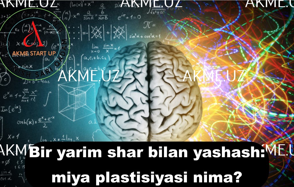 Bir yarim shar bilan yashash: miya plastisiyasi nima?