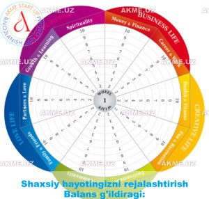 Shaxsiy hayotingizni rejalashtirish Balans g’ildiragi: asosiy usullar va texnikalar