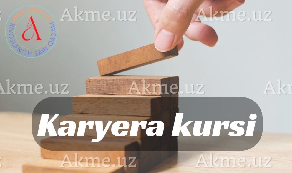 Karyera kursi