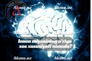 Inson miyasining o’ziga xos xususiyati nimada?