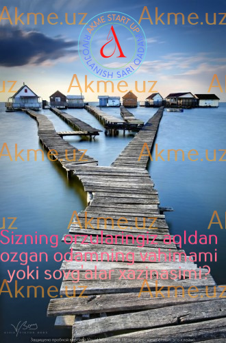 Sizning orzularingiz aqldan ozgan odamning vahimami yoki sovg’alar xazinasimi?