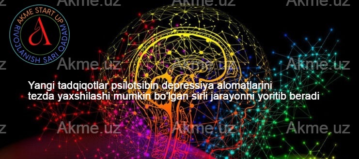 Yangi tadqiqotlar psilotsibin depressiya alomatlarini tezda yaxshilashi mumkin bo’lgan sirli jarayonni yoritib beradi