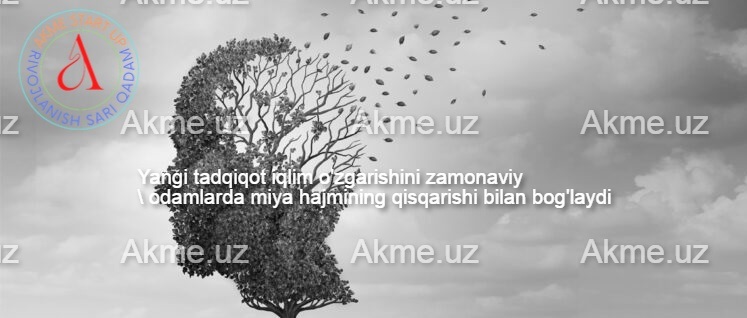 Yangi tadqiqot iqlim o’zgarishini zamonaviy odamlarda miya hajmining qisqarishi bilan bog’laydi