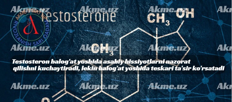 Testosteron balog’at yoshida asabiy hissiyotlarni nazorat qilishni kuchaytiradi, lekin balog’at yoshida teskari ta’sir ko’rsatadi