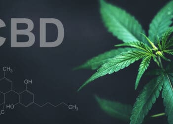 Cannabidiol tashvish yoki tashvish belgilarini kamaytiradimi? Yangi platsebo nazorati ostida o’tkazilgan tadqiqot yo’q deb aytmoqda