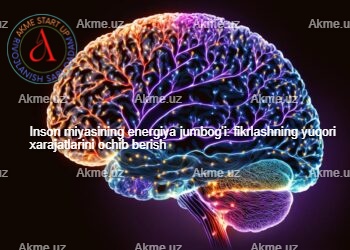 Inson miyasining energiya jumbog’i: fikrlashning yuqori xarajatlarini ochib berish